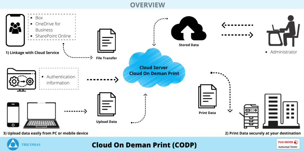 Business Operations with Cloud Service Hub | Tricomas